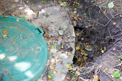 roots in my distribution box|Remove Tree Roots From a Septic Tank .